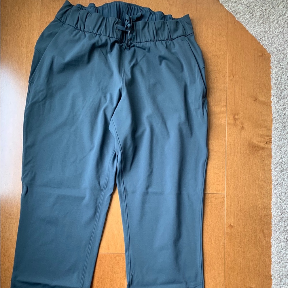 On the Fly Lululemon Pants